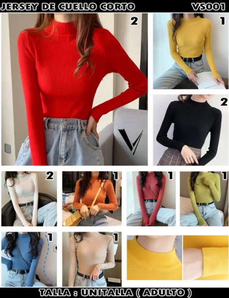 Blusa canale cuello tortuga